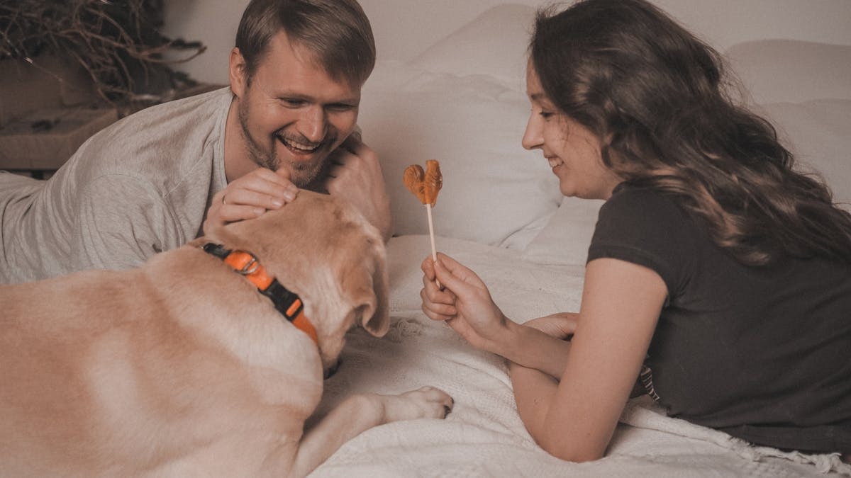 A smiling couple enjoys leisure time with their Labrador Retriever on a cozy bed.